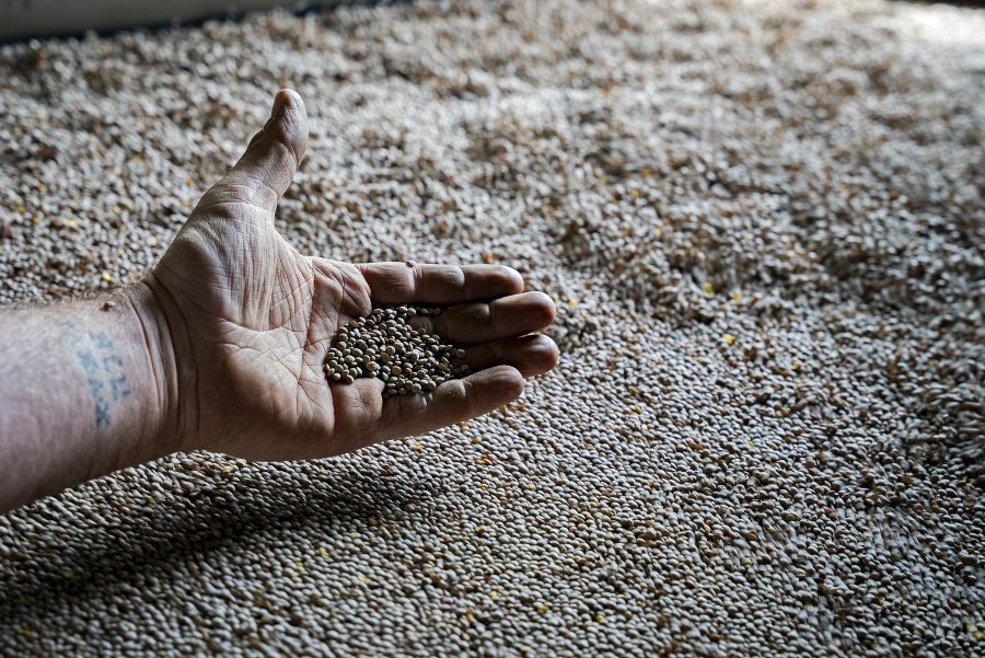 BcnAgraria's tweet photo. 👩‍🌾«Els nostres productes tenen un preu real, són els altres que són massa barats» Fàtima Brunet @fruitsdelseca

📰https://t.co/PtkHXit4iG

#RelleuAgrari #Innovació #BCNSmartRural https://t.co/C8XtI9BGZy