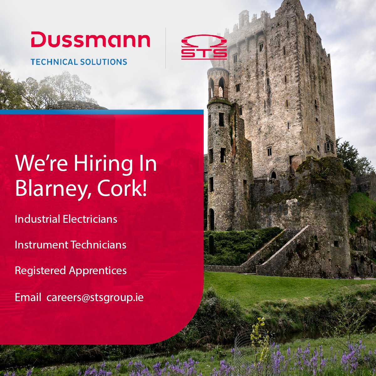 We're hiring in Cork!
For a new large-scale pharmaceutical project
📍    Blarney, County Cork
💬 Contact us today for a confidential chat
📧 Express your interest to careers@stsgroup.ie

#careers #industrialelectrician #instrumenttechnician #corkjobs #stsgroup