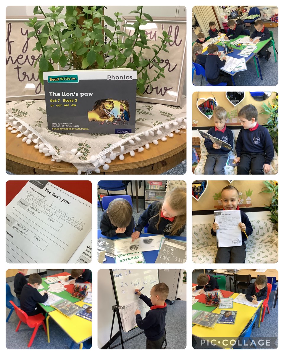MasefieldCP's tweet photo. Grey Group RWI have been reading Book 2, The Lionโs Paw. Today we read our second partner read, completed 2 hold a sentence activities and discussed the text. An amazing session Year 1. #rwi #amazingasalways @RuthMiskinEdu https://t.co/4RWrQCutnI