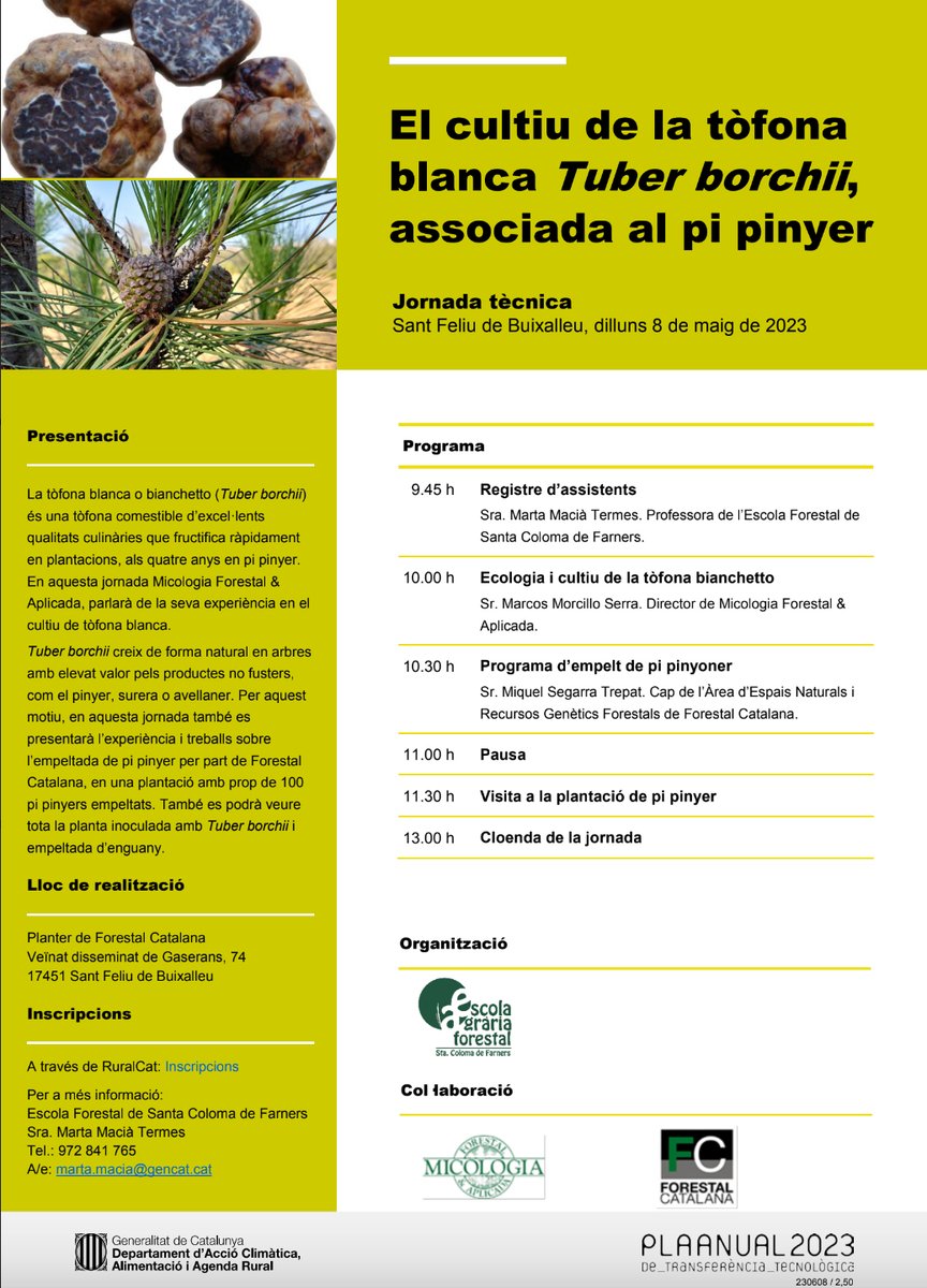 MarcosMorcillo's tweet photo. el 8 de maig organizem una jornada tècnica sobre el cultiu del #Tuber #borchii amb pi pinyer i el seu injert amb clons altament productius de #pinyes. Us hi esperem! https://t.co/ceKwRL1oJU