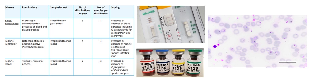 jayashrivastav9's tweet photo. On #WorldMalariaDay; a timely reminder of importance of quality in clinical diagnostics. @UKNEQAS  Parasitology offers EQA schemes for Microscopy, RDT and molecular detection of Malaria. @UKNEQASMicro  @Tropdoc @UKHSA https://t.co/UABPO7whlZ