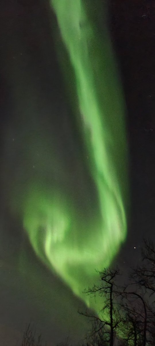 LeanneBellDVM's tweet photo. Awesome Aurora 04/23/23 https://t.co/IXzDpu1QPD
