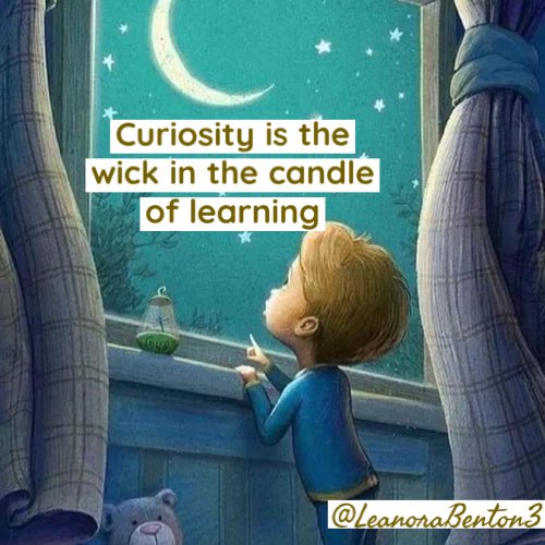 Leanora Benton D.Ed. tweet media