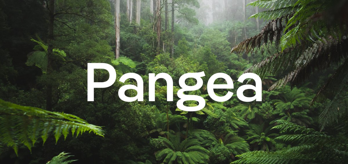 pangeafont's tweet photo. Just in time for #EarthDay, again I was able to make nice donations to the rainforest – thanks to you who bought Pangea! 🙏

Also a big thank you
@FairventuresUg 
@GreenBeltMovmnt 
@Treesftf 
for your great work! 💚
#EarthWeek https://t.co/LzAYz8KMB1