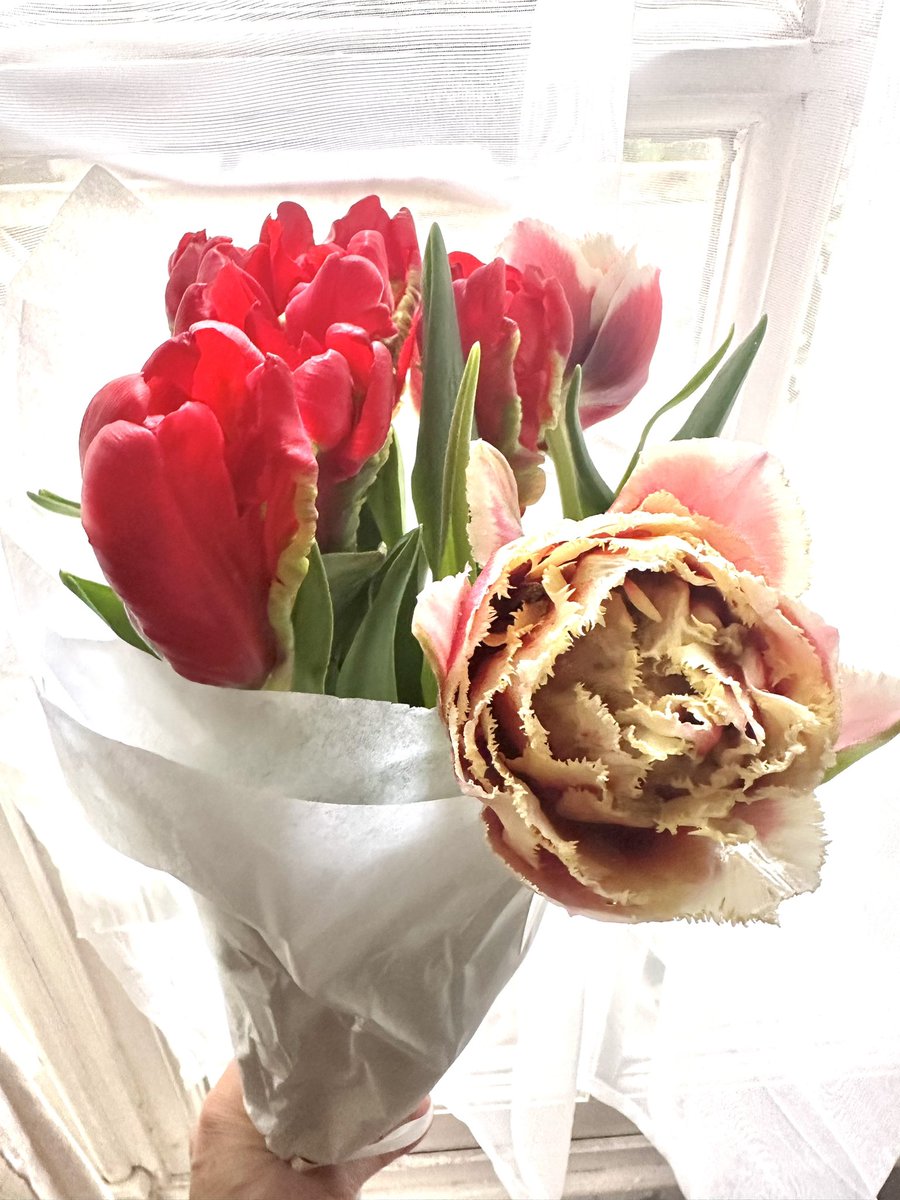 madamemurette's tweet image. スーパーで見つけたリスのメッセージカード🐿️中にも🐿️💞がいて良いです。🌷買いました🌷
#bacafleurs #ruedubac #paris #パリ一人旅 #リスのカード #tulipe #rose