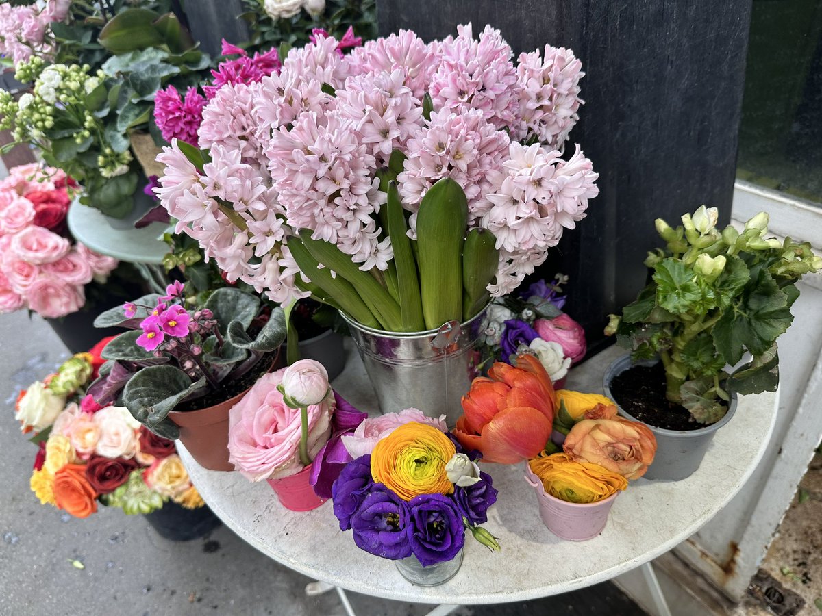 madamemurette's tweet image. スーパーで見つけたリスのメッセージカード🐿️中にも🐿️💞がいて良いです。🌷買いました🌷
#bacafleurs #ruedubac #paris #パリ一人旅 #リスのカード #tulipe #rose