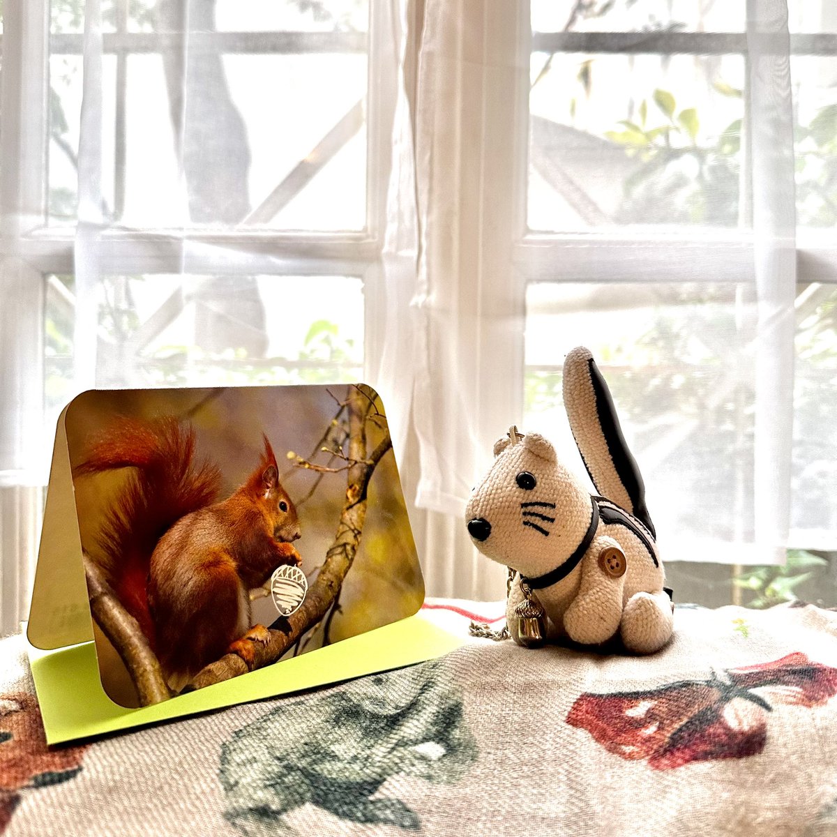 madamemurette's tweet image. スーパーで見つけたリスのメッセージカード🐿️中にも🐿️💞がいて良いです。🌷買いました🌷
#bacafleurs #ruedubac #paris #パリ一人旅 #リスのカード #tulipe #rose