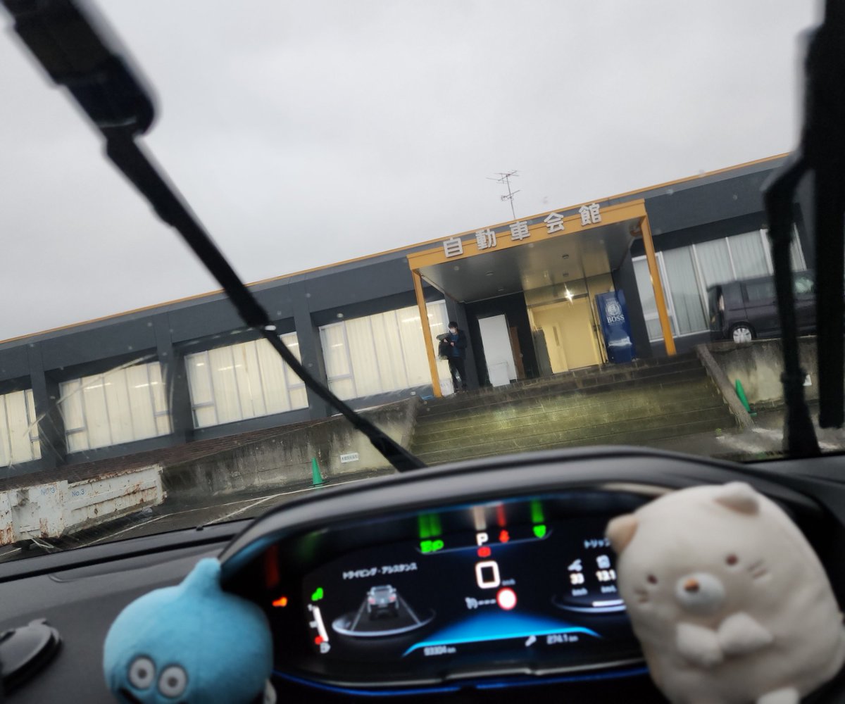 媛ぬこ™ tweet media