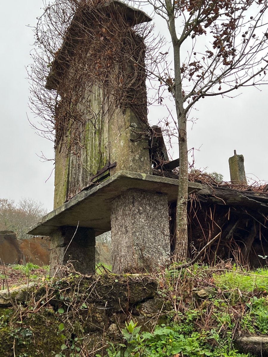 Parte de un proyecto que nos han encargado pasa por recuperar este hórreo! Pronto esperamos compartir algún diseño conceptual de qué planes tenemos para darle una nueva vida. 

#galicia #rehabilitacion #reforma #arquitectura