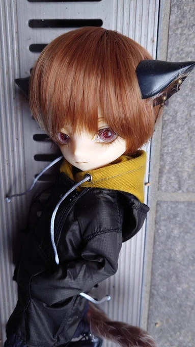 #ハルモニアルート にも着せてみました。凄い、この、なんだろう、カッコ可愛い感じ……。アノラックパーカーの細部の完成度の高さが際立ちます。ルートは大体ボディrurukoサイズなので六分の一男子図鑑用パーカーはロングになりますが、これはこれで………。…  