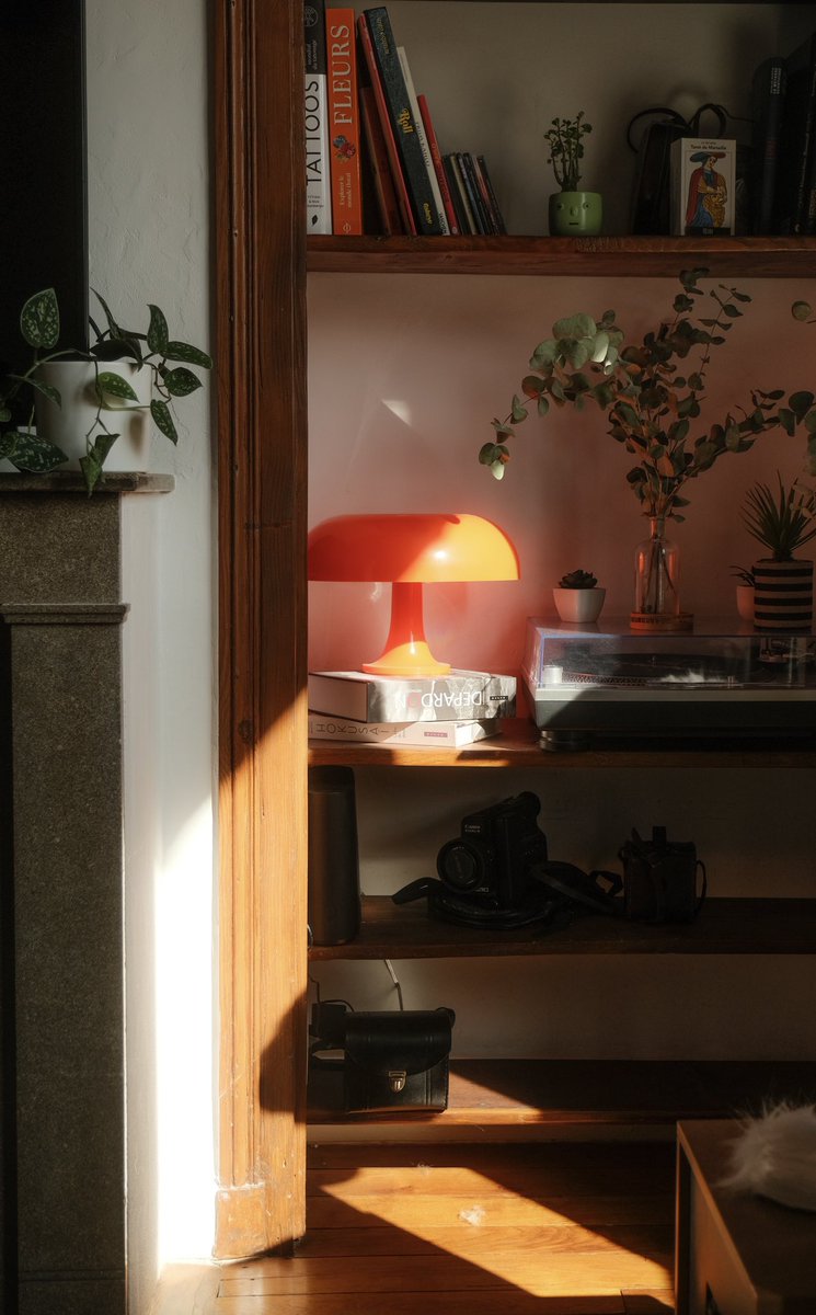 Lumière matinale