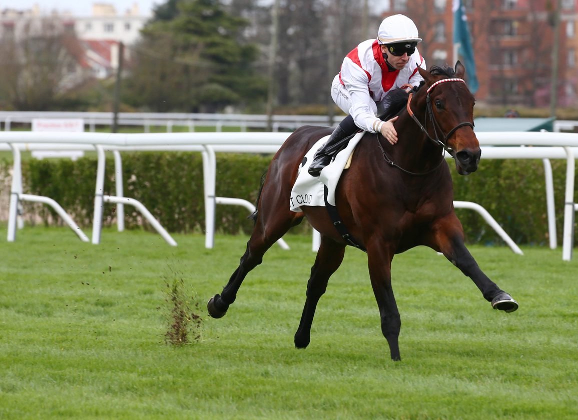 ashsh's tweet photo. A midweek treat in the 2150m Px De Ferriers on Thursday (C2 - 13:25)
FEED THE FLAME ๐ซ๐ท and SILVER CRACK ๐ซ๐ท put their unbeaten records on the line
Impressive winners by a combined 12.5 lengths they both earned @theTDN Rising Star status
Both are potential #PDJC hopes for France https://t.co/9ESxJaEhU7
