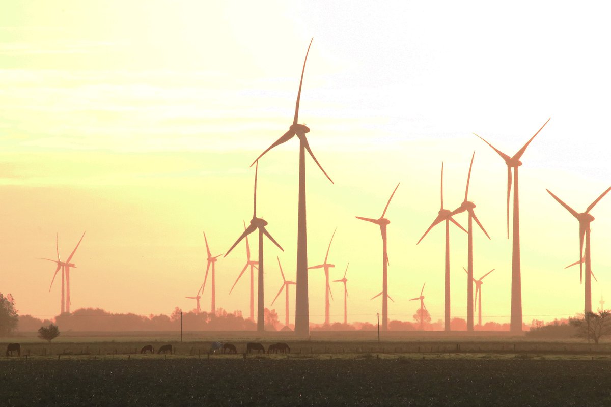 🌍Explore the cumulative and population effects of wind energy projects with us at the #CWW2023. Share your approaches and case studies. Submit your abstract by April 30th ➡️ bit.ly/3n0CDLc

#WindImpactAssessment #windenergy #environmentalprotection #natureprotection