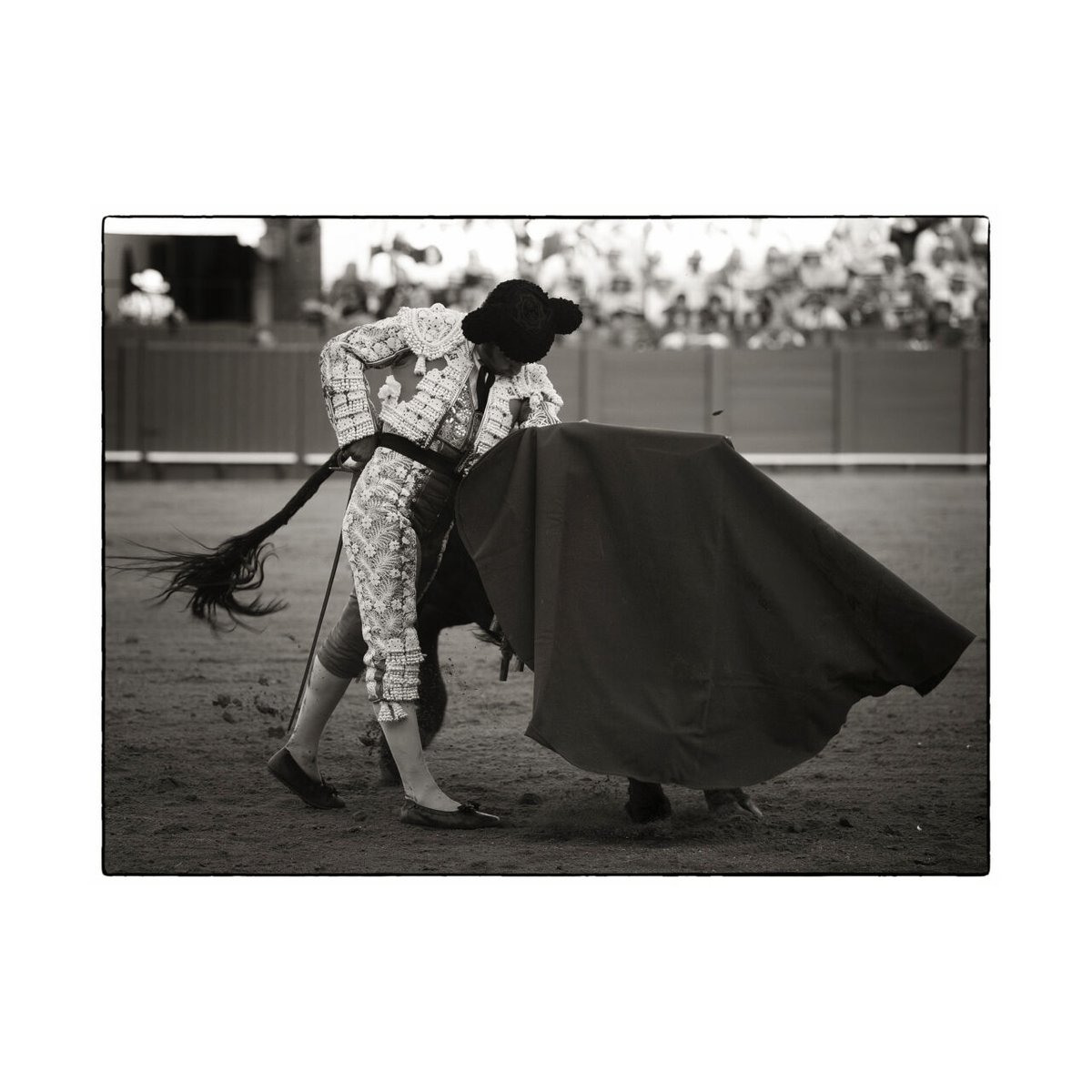 Sevilla le dio la espalda al toreo.

📸-Mauricio Berho.