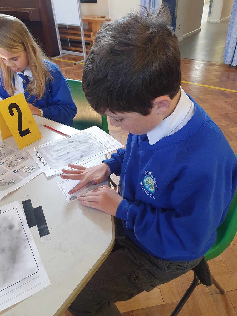 Y5Auckley tweet media