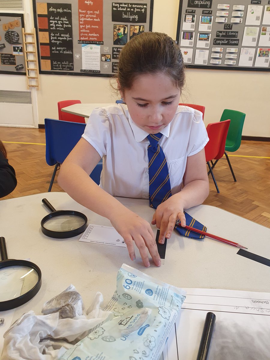 Y5Auckley tweet media