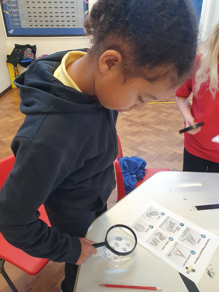 Y5Auckley tweet media
