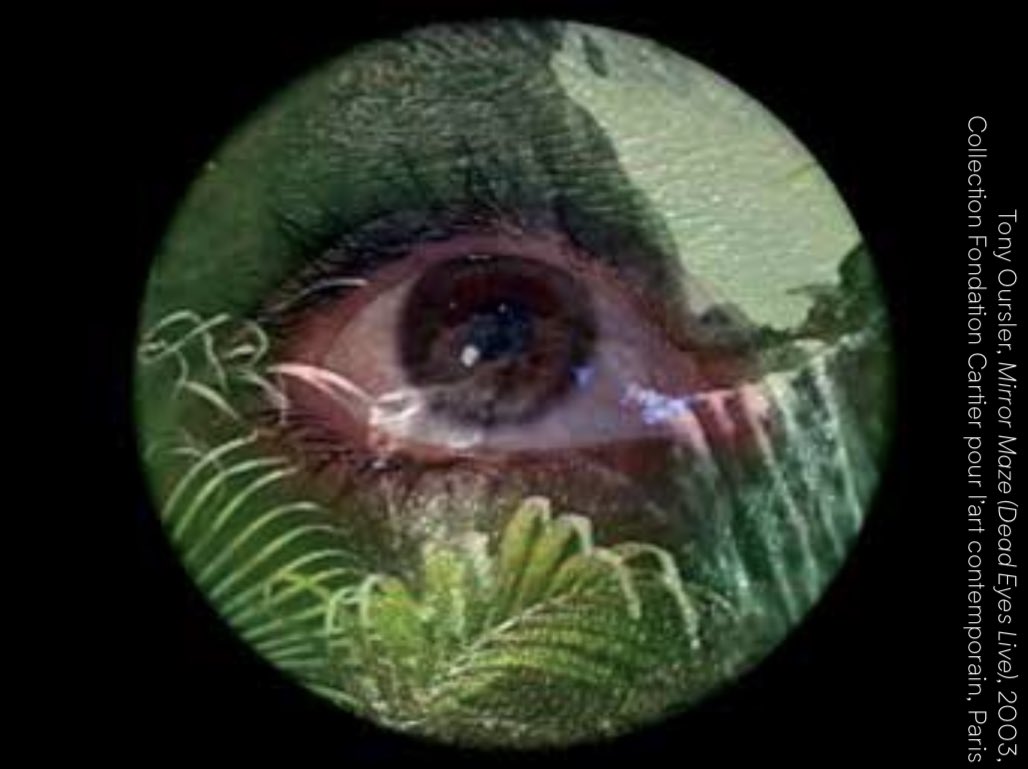 🌿#MardiEDD | #Écologie 

📍À consulter de nombreuses pistes pédagogiques en #ArtsPlastiques &amp; interdisciplinaires sur le thème de la #Nature produites dans le cadre du parcours d’expositions #utopialille <a href="/lille3000/">lille3000</a> 

👉utopia.lille3000.com/enseignants-gr…
