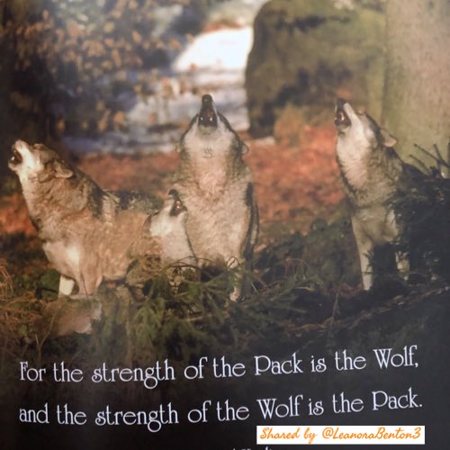 Leanora Benton D.Ed. tweet media