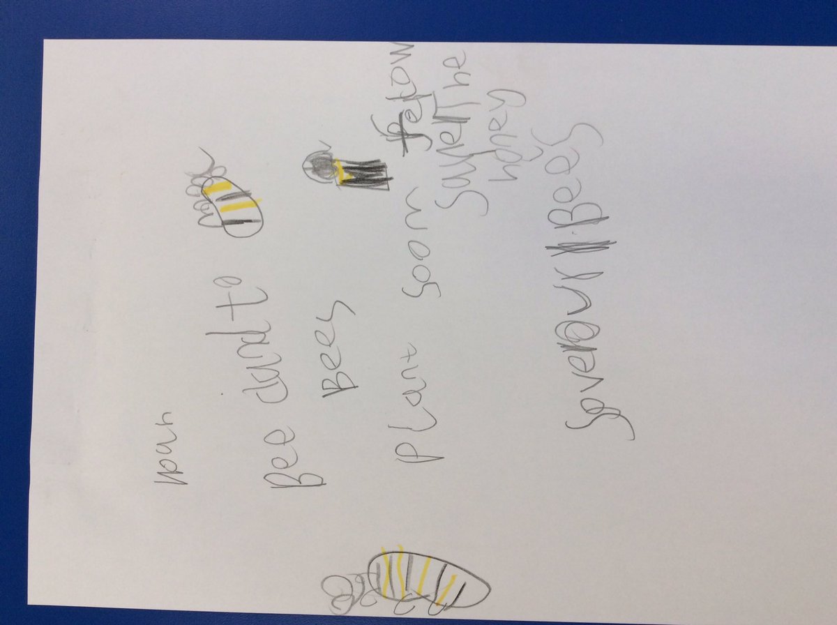 holstein_mrs's tweet photo. Tuesday morning in Foundation Stage!
We are doing drawing of bees, using chalks to create the fluffy bumblebee and outside the children are designing ‘save the bee’ posters for our wild flower garden. @TrustVictorious @wild_bank https://t.co/WmryeCtHKF