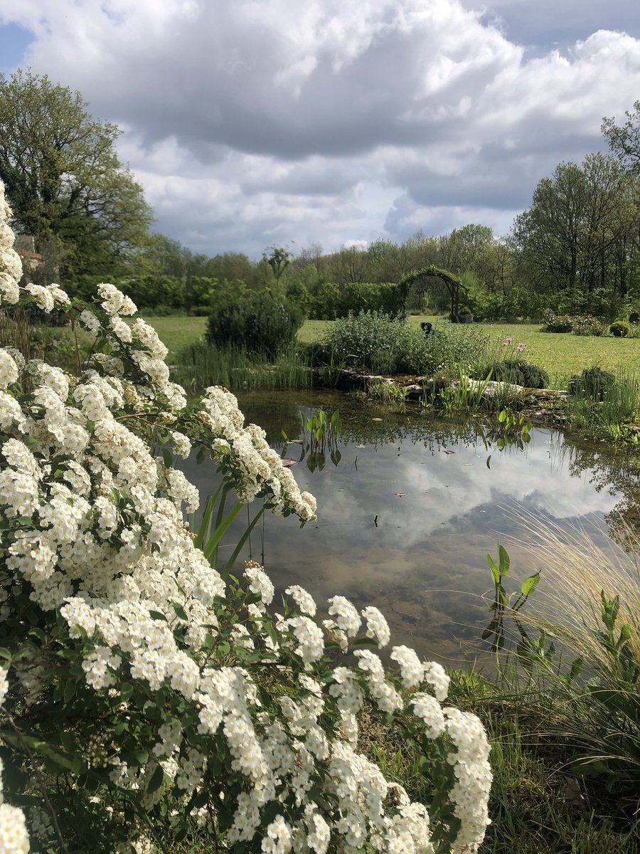 Six years ago this was a field, not a single plant, shrub, pond, hedge or border. Slowly, slowly going forward. Thank you so much to everyone for your support re #TheLostGardenOfLoughrigg it really means the world. #GardeningTwitter #gardening #mygarden #swfrance #wildlifepond