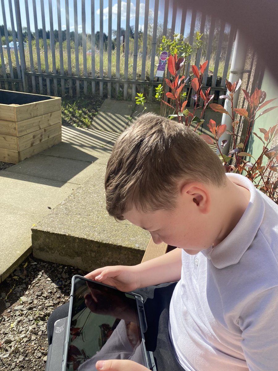 MisscollinsL's tweet photo. Enjoying a little bit of sun, while we do our maths outside today. #mathsinthesun #outdoorlearning @IWBSFalkirk #WatchUsGrow https://t.co/wbsDO8tCWv