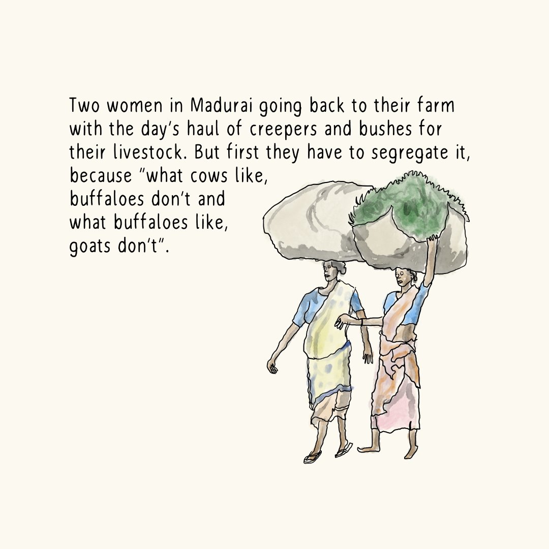 rmnth's tweet photo. It's around 4pm, but there's still a long day ahead for these two women in Madurai.    

Today's doodle https://t.co/rdTP9LeoJt