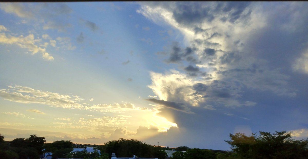 JorgeGNYCMIA's tweet image. #Miami #Sky #Sunsetting #Palmtree #photo #photodaily #phototoday #photoofthedaye #photogram #photograph #photographer #photography #photooftheweek #photos #photosession #photoshot #photostudio #skyphotography #sunrays #sunflares #lensflare #SunsetEvening