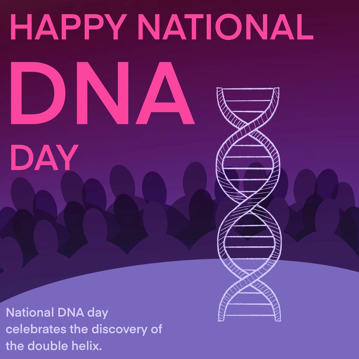 Today is National DNA Day, a celebration of the Human Genome Project completion in 2003 and the discovery of the DNA double helix in 1953 🧬 #nationalDNADay