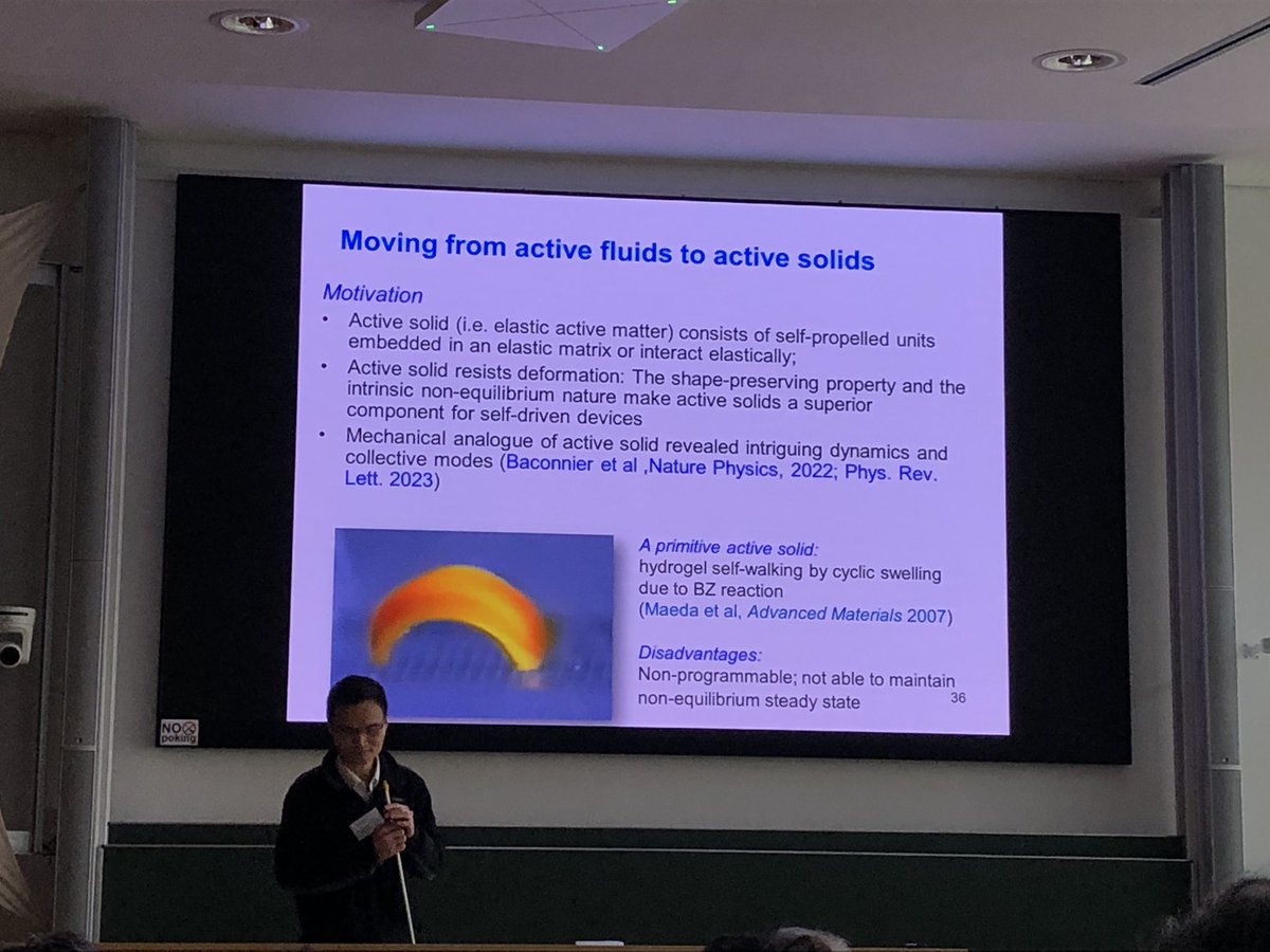 GTheraulaz's tweet photo. Yilin Wu (The Chinese University of Hong Kong): Self-organization of dense bacterial active matter at #active23 in Dresden https://t.co/tlemwhPTj1