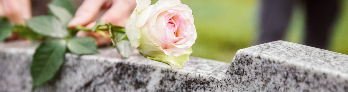 NIEUWS|| Wist je dat het uitmaakt op welke plek je wordt begraven of gecremeerd? Nieuwste prijzen variëren van 827 tot 8.205 euro. Open zijn over afscheid, betekent ook open zijn over kosten. Kijk voor lokale kosten in Monuta's Grafkostenmeter
monuta.nl/uitvaart/wat-k…