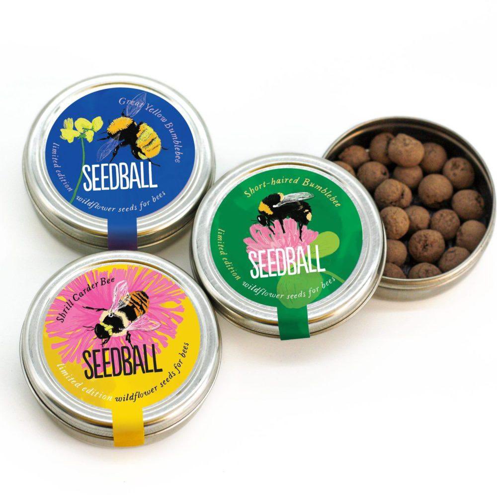 allotmentonline's tweet photo. Last chance today, ends midnight tonight! 

Enter for the chance to WIN a Bumblebee Collection from @seed_ball ! 🤩🐝 Please follow &amp; RT and enter:

https://t.co/NRxV4rmHQk

#seedball #win #giveaway #growyourown https://t.co/Yr9P5keYWP