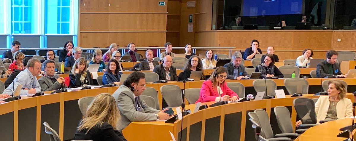 BenjaminFeyen's tweet photo. And the #StatusOfTheArtist report (officially “EU framework for the social and professional situation of artists and workers in the cultural and creative sectors”) is taking off: @EPCulture & @EPSocialAffairs stakeholders exchange with co-rapporteurs @DomenecD & @ToineMandersEP. https://t.co/fqvYxr0WDW