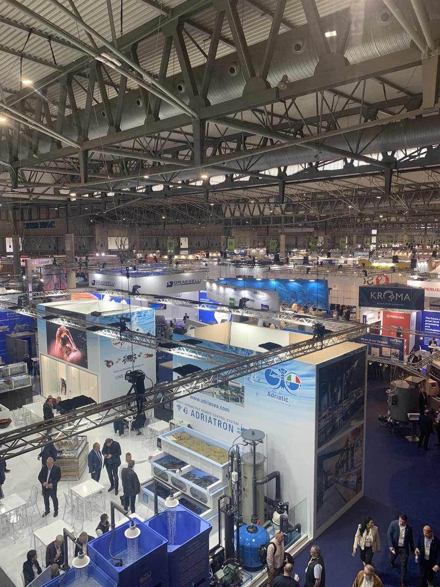 Excited to be representing <a href="/FaunaFloraInt/">Fauna & Flora</a> at <a href="/SeafoodExpo_GL/">Seafood Expo Global/Seafood Processing Global</a> this year #SEG23 and hear about industry’s commitments to sustainable fishing