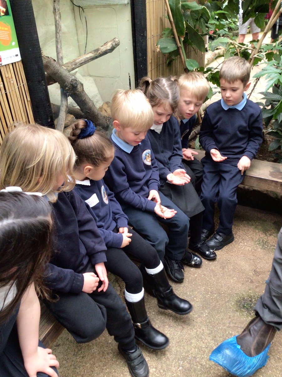 YRPinkClass's tweet image. What a fun day we had exploring at the Tropical Butterfly House last week.