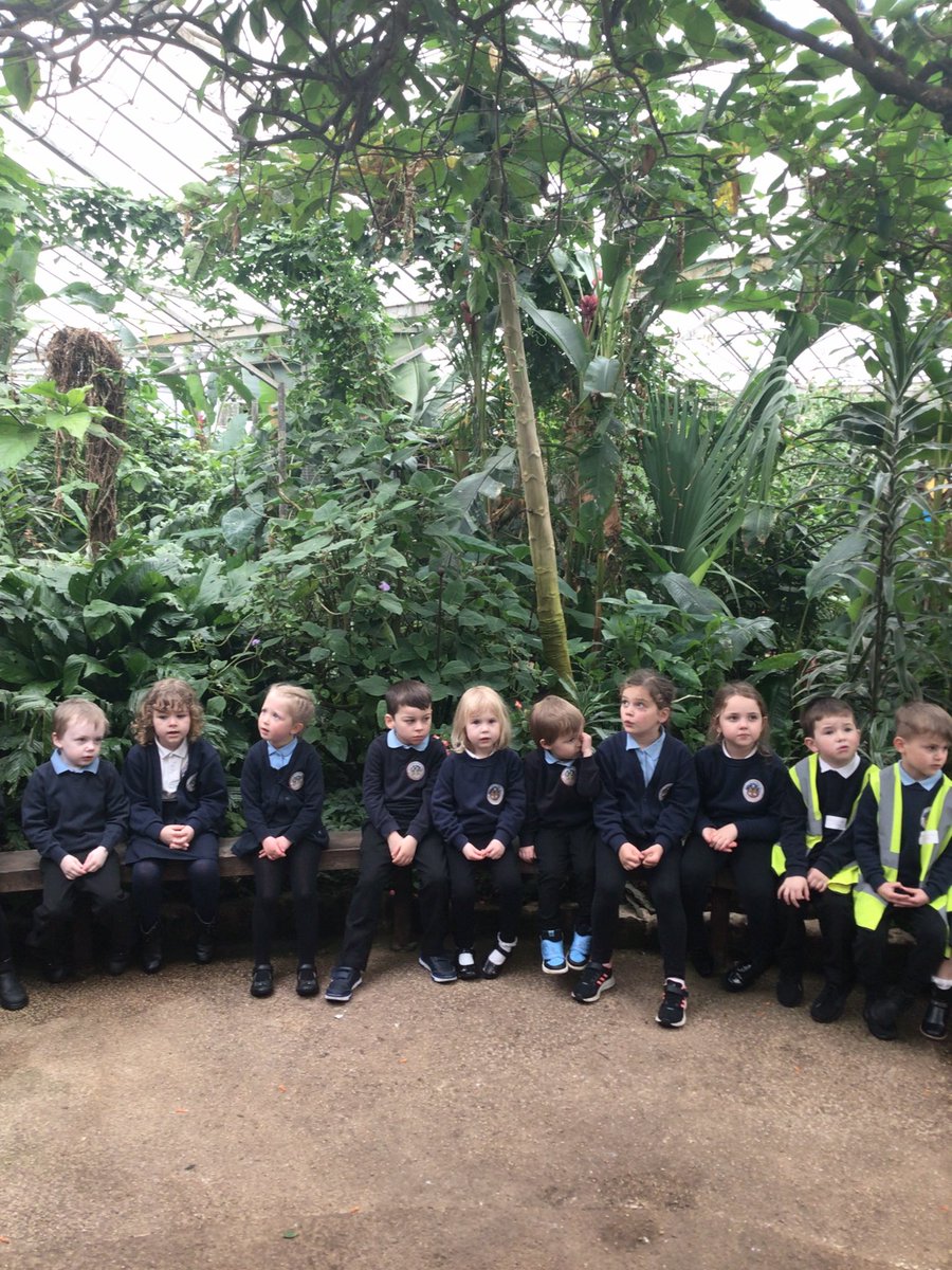YRPinkClass's tweet image. What a fun day we had exploring at the Tropical Butterfly House last week.