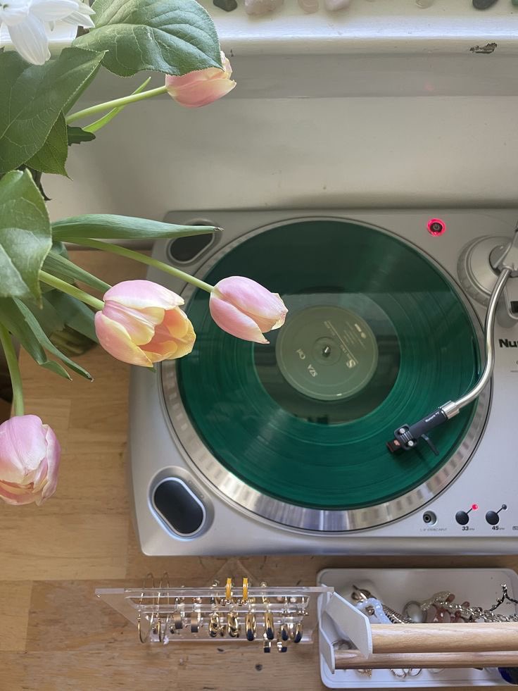 floraIeuphoria's tweet photo. tuesday https://t.co/oktrVtj9gn