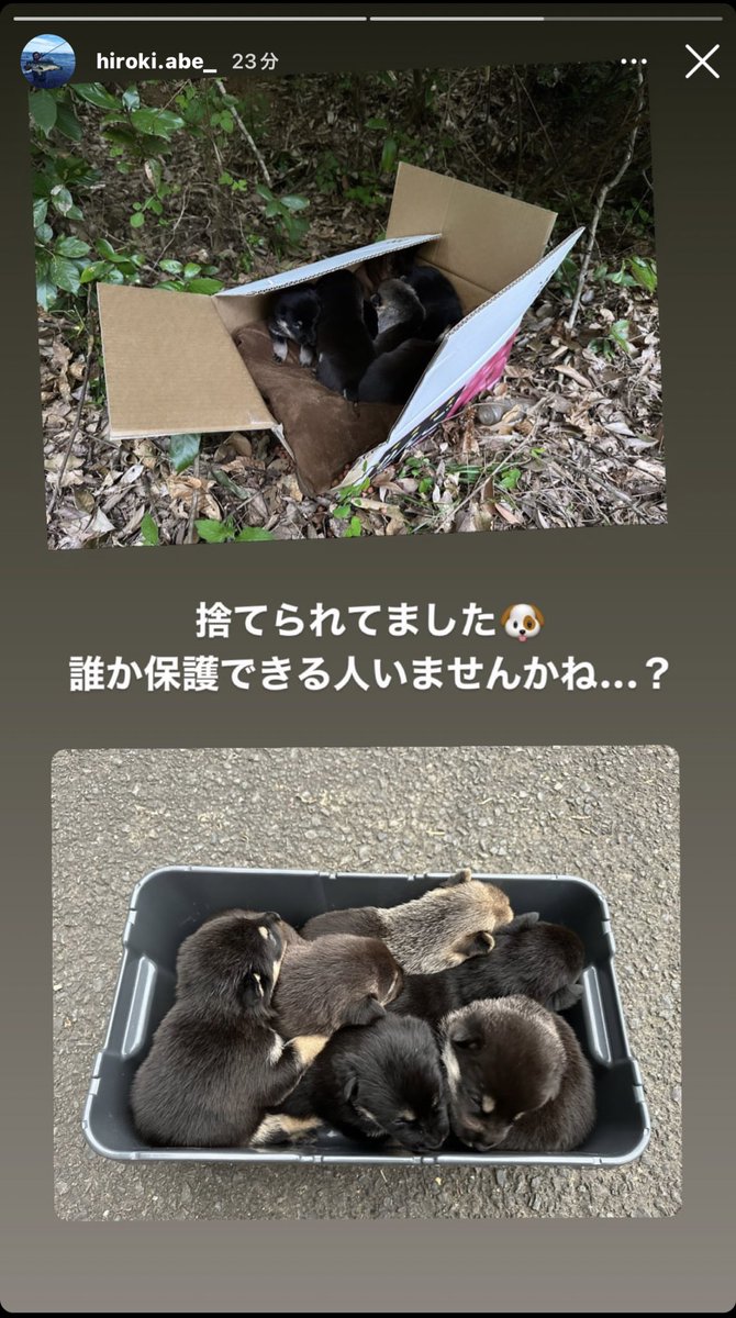 tosaki_bottomup's tweet image. 保護できる方がいましたら、連絡下さい😭🙏🙏

#拡散希望RTおねがいします 
#捨て犬