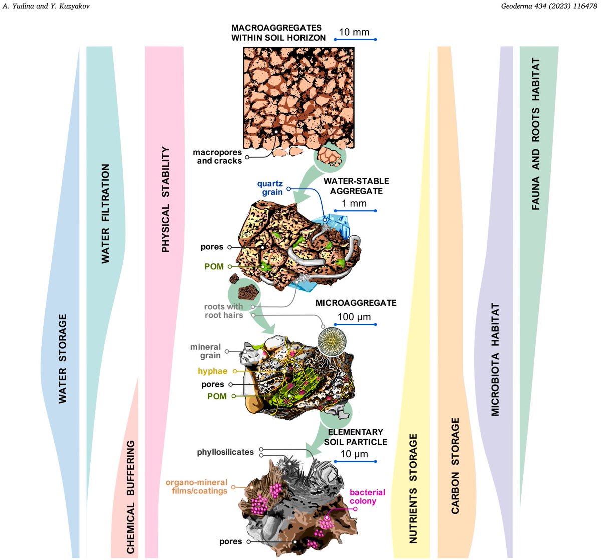 ykuzyakov's tweet photo. 💥Energy based formation of soil structure &amp;
Information density of Aggregates &amp; Pores
Dual nature of soil structure: aggregates &amp; pores🔥
@Geoderma_Jrnl
https://t.co/AWjZXQqWdZ
Free: https://t.co/U0FTrpVkKM
#soilaggregates #model #carbon #pedogenesis #soilstructure #hierarchy https://t.co/CRbFJYitU2