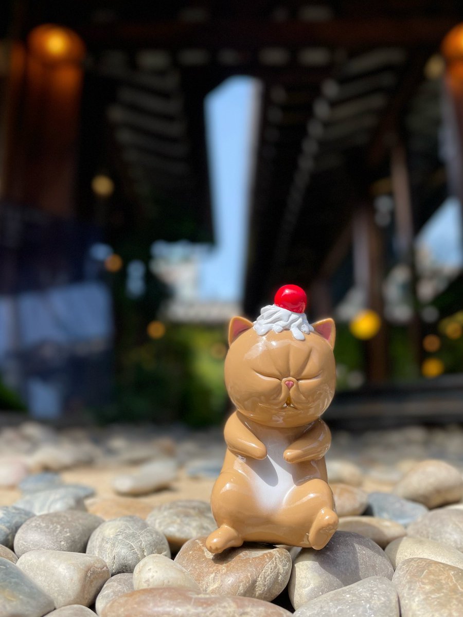 chang11_jo's tweet photo. 🇰🇷🐱💤

#sofubi 
#refreshmenttoy 
#korea #seoul #익선동 #ikseondong https://t.co/6XInAX46UL