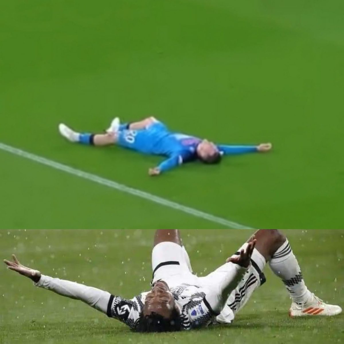 Bruno Siciliano on Twitter