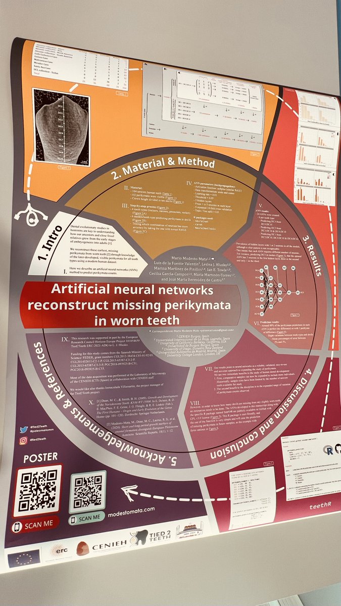 Tied2Teeth tweet media