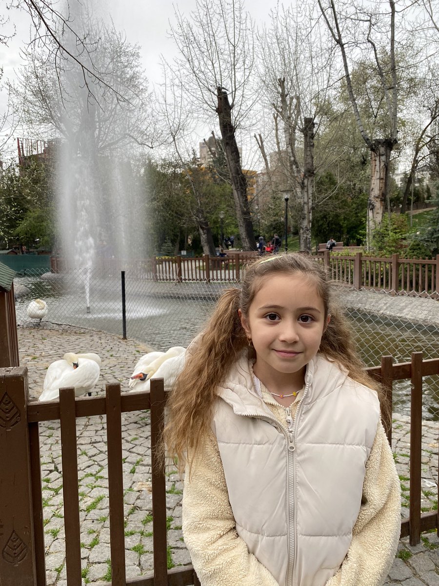 avpelin_'s tweet photo. Kuğulu park kuşu 🌸 https://t.co/Xi7cEFo4xl