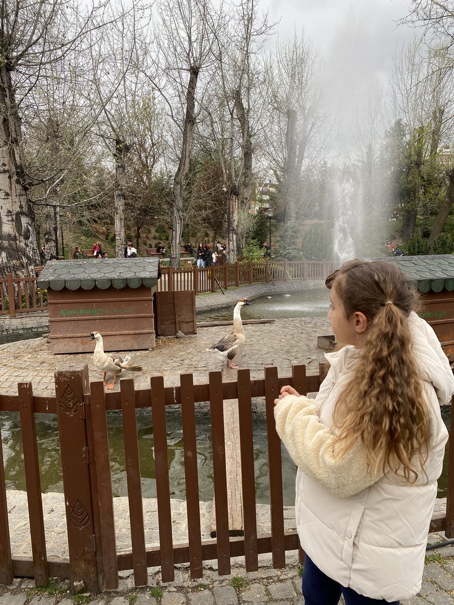 avpelin_'s tweet photo. Kuğulu park kuşu 🌸 https://t.co/Xi7cEFo4xl