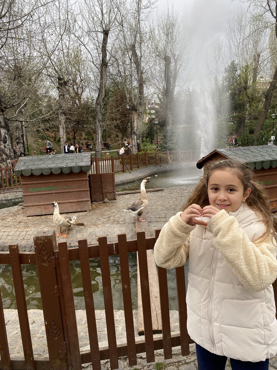 avpelin_'s tweet photo. Kuğulu park kuşu 🌸 https://t.co/Xi7cEFo4xl