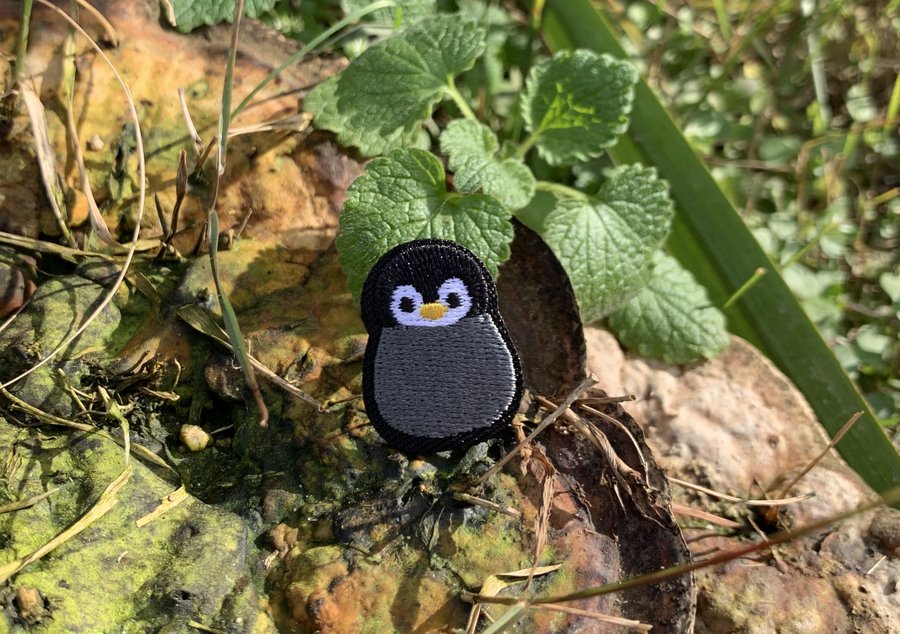 오늘은 세계 펭귄의 날입니다! 지구온난화와 서식지 파괴로 사라져가는 펭귄을 보호하기 위해 남극 펭귄이 이동하는 시기에 맞춰 정한 날이라고 해요. 기념으로 23분께 펭귄 와펜을 보내드려요! 선착순 : naver.me/F3os7LDz 이쪽에 정보를 적어주시면 우편으로 보내드립니다😊💕