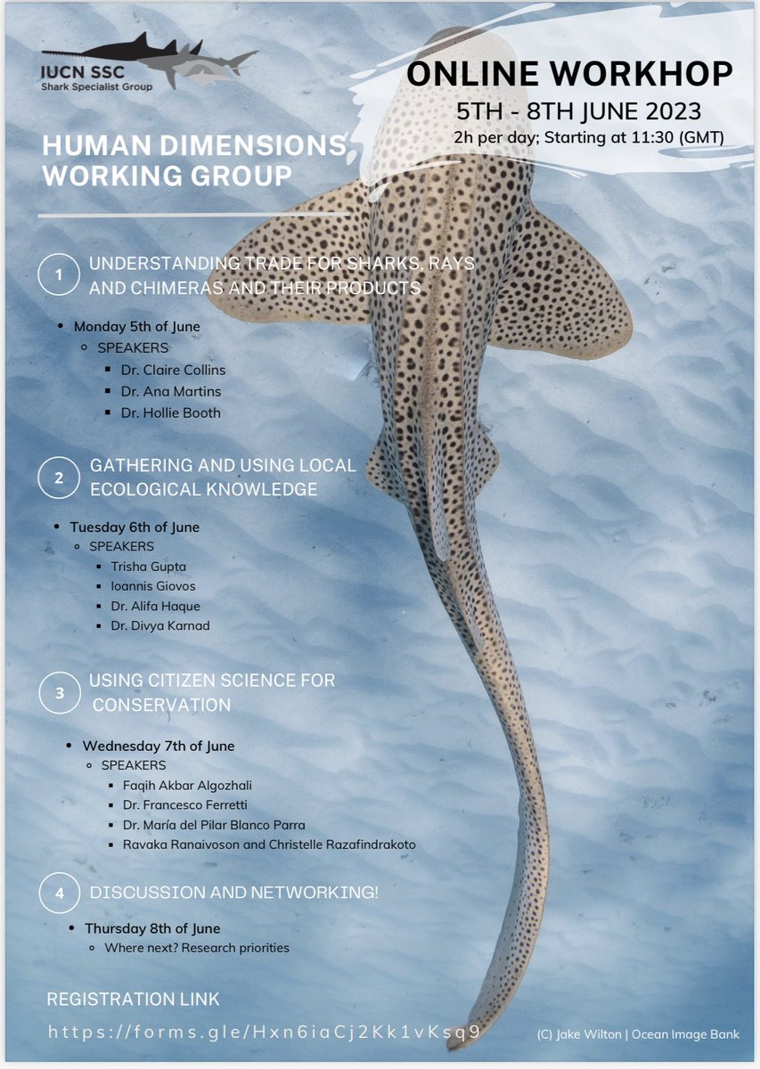 hollieboothie's tweet photo. 📢  @IUCNShark Human Dimensions Working Group workshop in June! 📢

🎯 To promote effective conservation of #sharks &amp; their cartilaginous cousins by paying attention to human interactions with these species 🦈

We have a great line up!

Register below 👇🏼

https://t.co/AWOjR9xtLl https://t.co/myE74geiJw