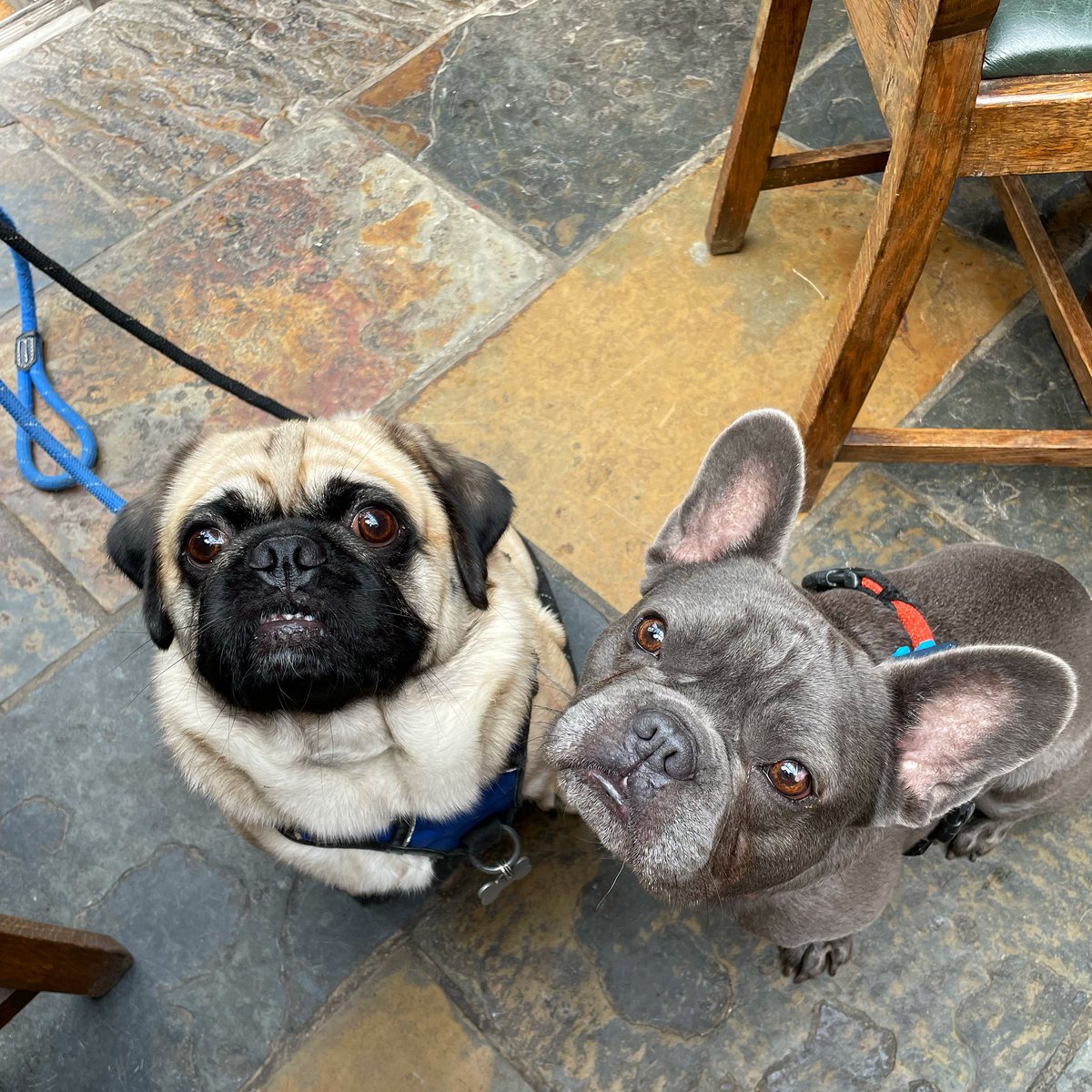 Richard 1st tweet media