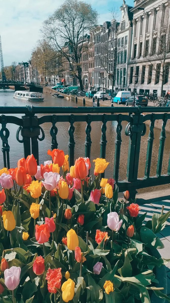 BethanJV's tweet photo. Amsterdam, you little beauty... https://t.co/KWzOnvNJU5