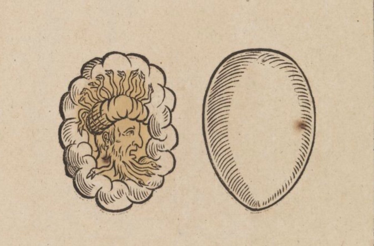 German broadsheet from Prague depicting a Turk’s head with snakes that appeared in an egg yolk as a maid prepared a meal in Autun in 1569. An ominous sign: the cat that ate a bit of egg white that fell on the ground died on the spot. GNM, HB810. objektkatalog.gnm.de/objekt/HB810